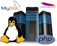 Linux Hosting