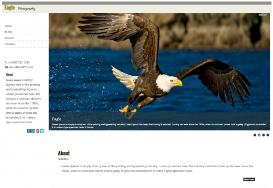 Eagle Photography Template