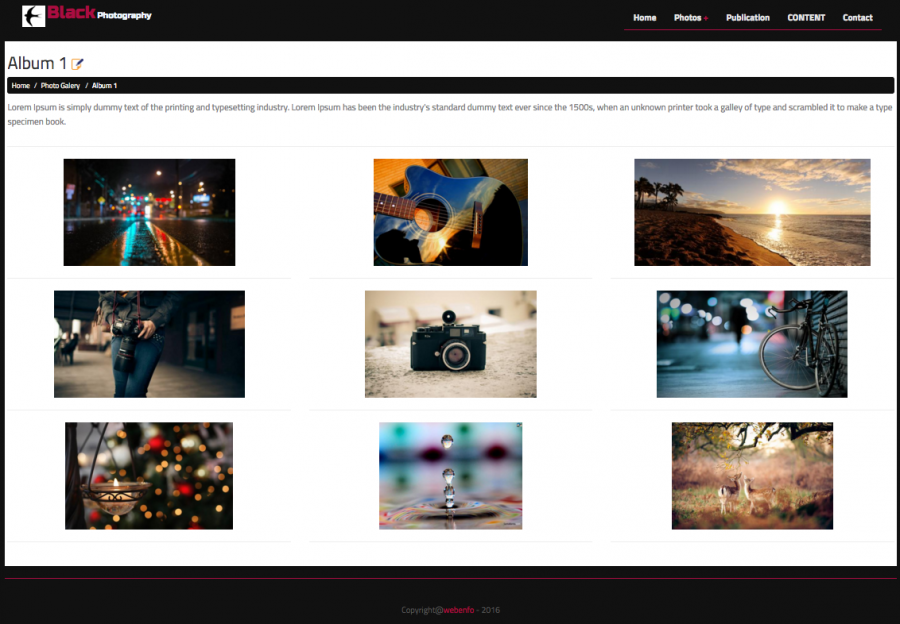 thumbBlack Photography Theme