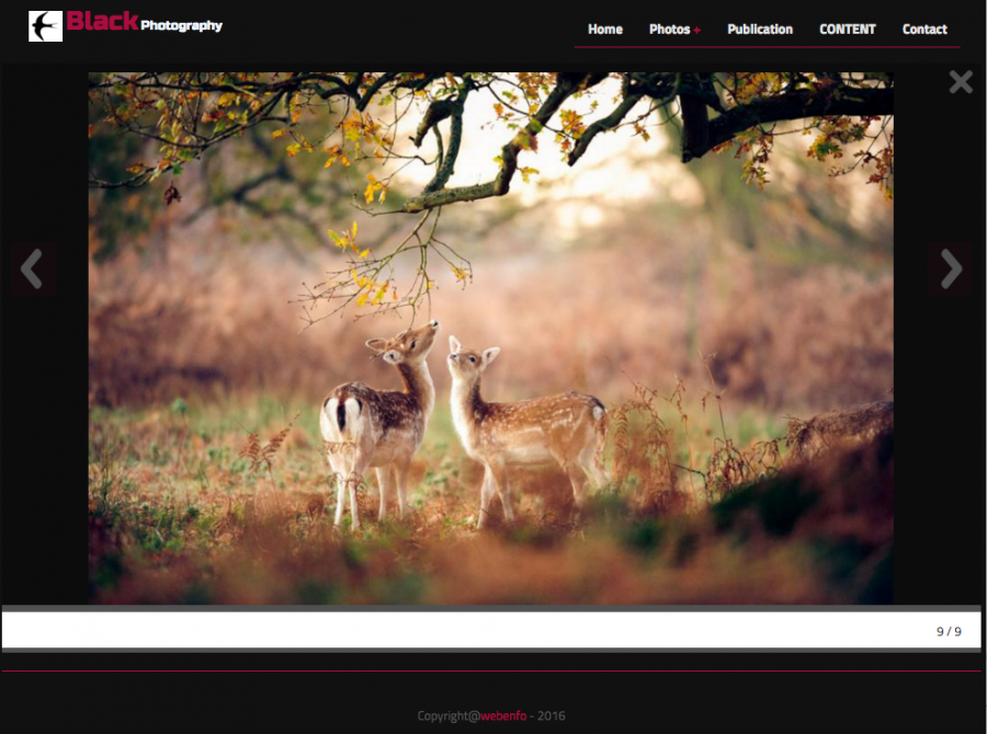 thumbBlack Photography Theme